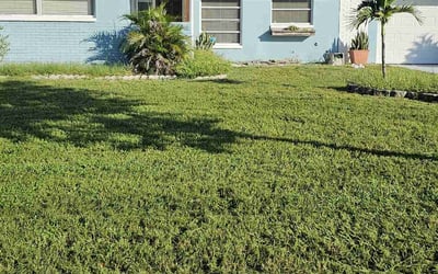Photo of Jennifer J.'s yard after getting lawn care in Clearwater, FL