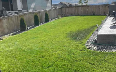 Photo of Tim H.'s yard after getting lawn care in Southington, CT