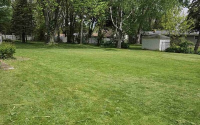 Photo of G B.'s yard after getting lawn care in Stratford, CT