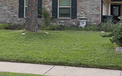 Photo of Linda K.'s yard after getting lawn care in Bellmore, NY