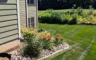 Photo of David S.'s yard after getting lawn care in Zimmerman, MN
