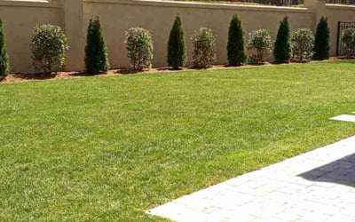 Photo of Joan P.'s yard after getting lawn care in Durham, NC