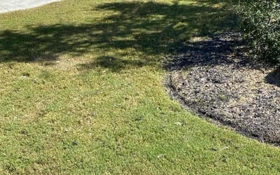 Photo of Pa Y.'s yard after getting lawn care in Leander, TX