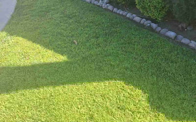 Photo of Val H.'s yard after getting lawn care in Simi Valley, CA