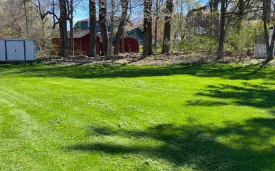 Photo of Nikki E.'s yard after getting lawn care in Camillus, NY