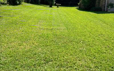 Photo of Kelsey P.'s yard after getting lawn care in Knightdale, NC