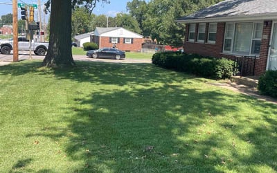 Photo of Ryan B.'s yard after getting lawn care in Bloomington, IL