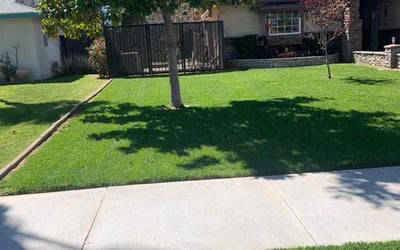 Photo of Kellideon A.'s yard after getting lawn care in Riverside, CA
