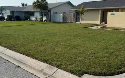 Photo of Catherine B.'s yard after getting lawn care in St. Petersburg, FL