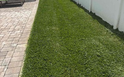 Photo of Leigh Ann B.'s yard after getting lawn care in Orlando, FL