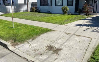 Photo of Alex H.'s yard after getting lawn care in Canoga Park, CA