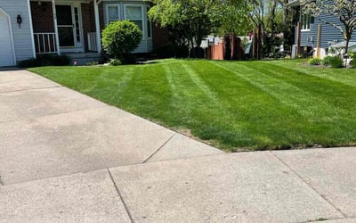 Photo of Betty O.'s yard after getting lawn care in Grand Rapids, MI