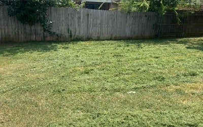 Photo of Arthur S.'s yard after getting lawn care in Wichita Falls, TX