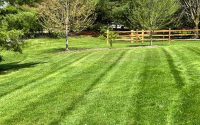 Photo of Ghalib A.'s yard after getting lawn care in Mason, OH