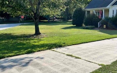 Photo of Mayer B.'s yard after getting lawn care in Greensboro, NC