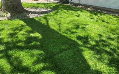 Photo of Zaya D.'s yard after getting lawn care in Chapel Hill, NC
