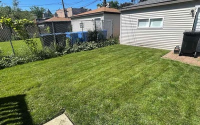 Photo of Diane P.'s yard after getting lawn care in Alsip, IL