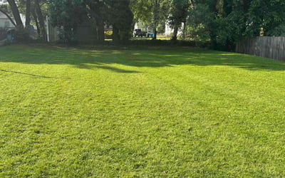 Photo of Tiffany H.'s yard after getting lawn care in New Lenox, IL