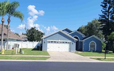Photo of Emily K.'s yard after getting lawn care in Safety Harbor, FL