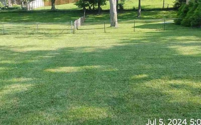 Photo of Dana S.'s yard after getting lawn care in Port St. Lucie, FL