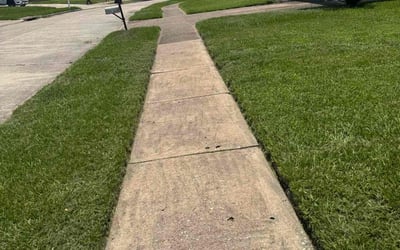 Photo of Miranda M.'s yard after getting lawn care in Dover, NJ