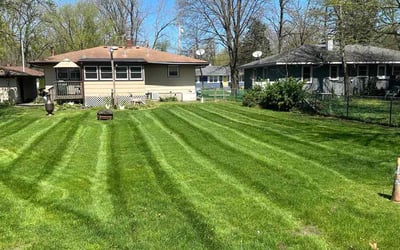 Photo of Kaven K.'s yard after getting lawn care in Schererville, IN
