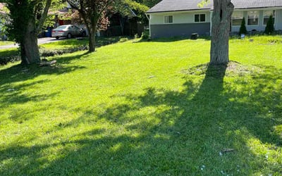 Photo of Hannah A.'s yard after getting lawn care in Martinsville, IN