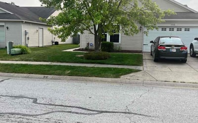 Photo of Peg B.'s yard after getting lawn care in Four Corners, FL