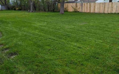 Photo of Miriam H.'s yard after getting lawn care in Jamestown, NY