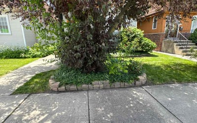 Photo of Ginny P.'s yard after getting lawn care in Hickory Hills, IL