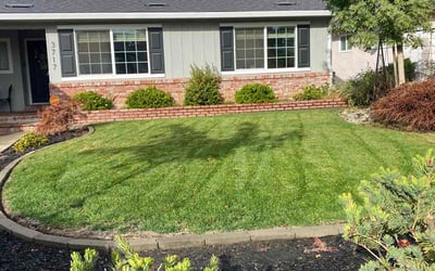 Photo of Michael B.'s yard after getting lawn care in Sacramento, CA