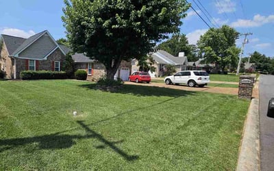 Photo of Lou H.'s yard after getting lawn care in Hendersonville, TN