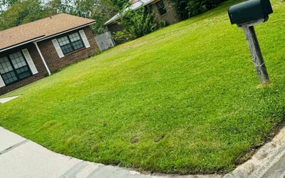 Photo of Shannon W.'s yard after getting lawn care in North Versailles, PA