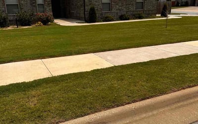 Photo of Lizette L.'s yard after getting lawn care in Rogers, AR