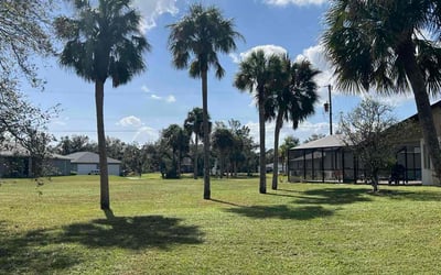 Photo of Bryn K.'s yard after getting lawn care in Port Charlotte, FL