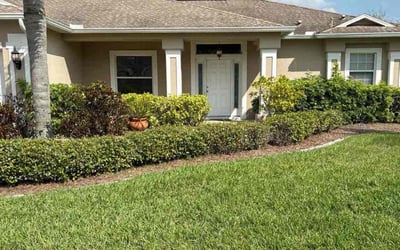 Photo of Kimberly G.'s yard after getting lawn care in Cambridge, MA