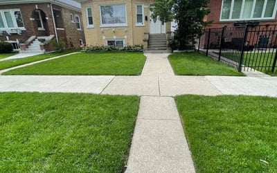 Photo of Thomas G.'s yard after getting lawn care in Crestwood, IL