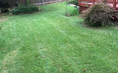 Photo of Seth L.'s yard after getting lawn care in Greenbelt, MD