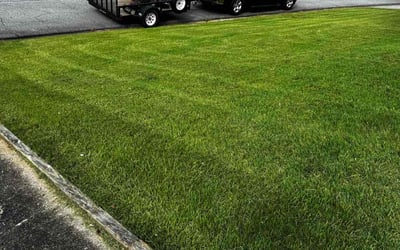 Photo of Cole A.'s yard after getting lawn care in Panama City, FL