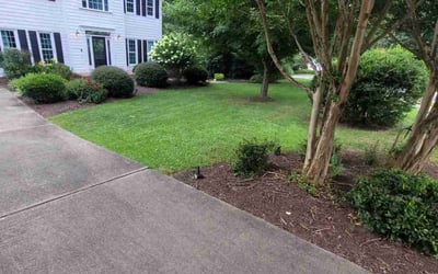 Photo of Loren L.'s yard after getting lawn care in Bedford, TX