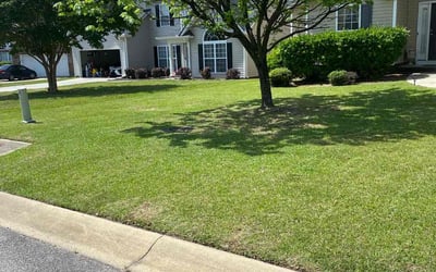 Photo of Margaretta P.'s yard after getting lawn care in Leesville, SC