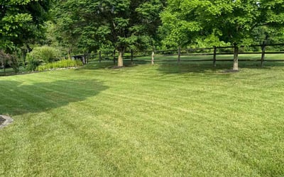 Photo of Kirsten R.'s yard after getting lawn care in Harleysville, PA