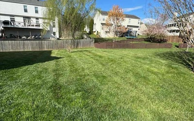 Photo of Kathleen M.'s yard after getting lawn care in Kingstowne, VA