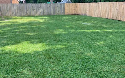 Photo of Bria F.'s yard after getting lawn care in Henrico, VA