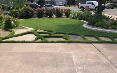 Photo of Susan Y.'s yard after getting lawn care in Truckee, CA