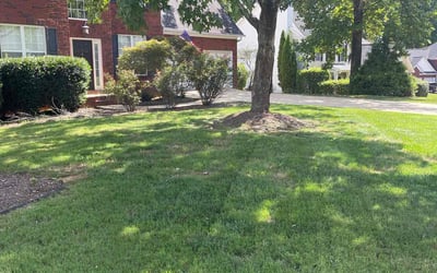 Photo of Greg B.'s yard after getting lawn care in Mableton, GA