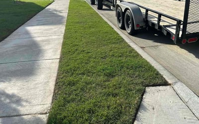 Photo of Karen H.'s yard after getting lawn care in East Amherst, NY