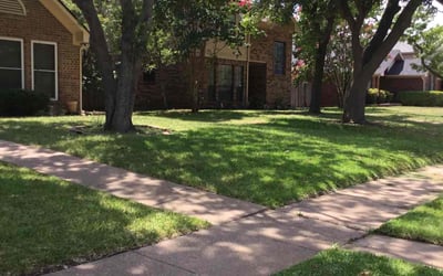 Photo of Julia R.'s yard after getting lawn care in Cedar Hill, TX