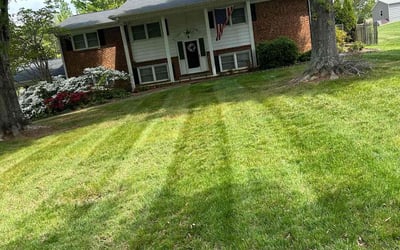 Photo of DeJuan O.'s yard after getting lawn care in Lexington, NC