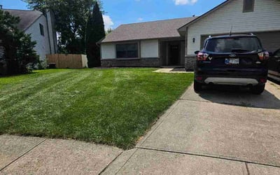 Photo of Tara T.'s yard after getting lawn care in Kittanning, PA